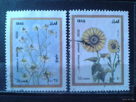 Ирак 1998 Цветы