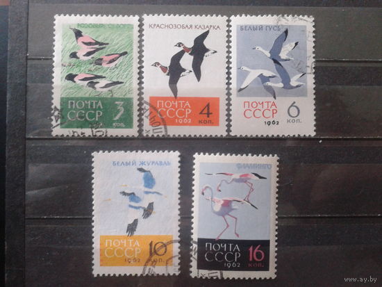 1962 Птицы Полная серия