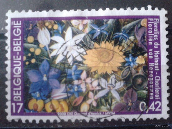 Бельгия 2000 Полевые цветы