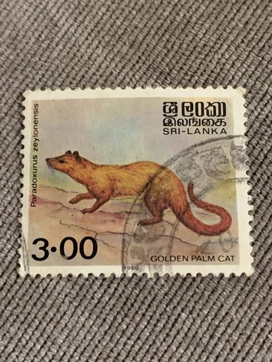 Шри-Ланка. Golden palm cat. Марка из серии