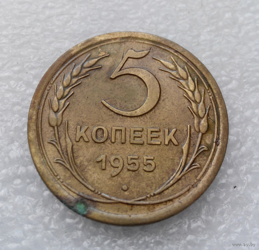 5 копеек 1955 года СССР #11
