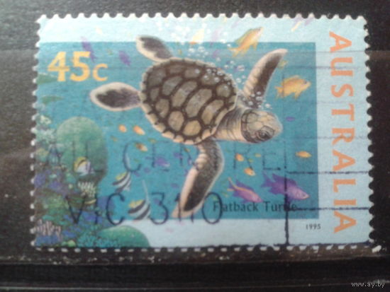 Австралия 1995 морская черепаха