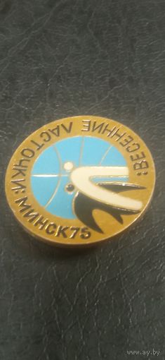 Значок турнира небесные ласточки 1975