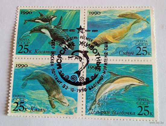 СССР киты дельфин