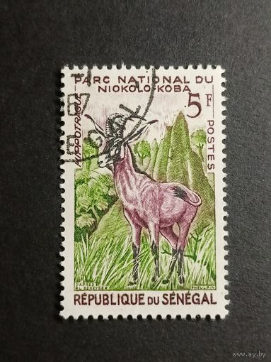 Сенегал 1960. Птицы