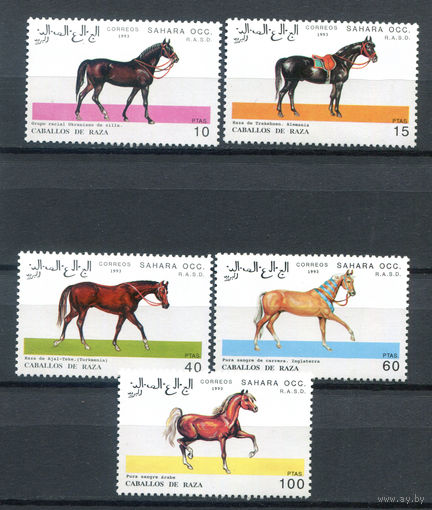 Западная Сахара - 1993г. - Лошади - полная серия, MNH - 5 марок