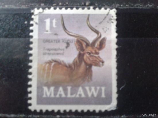 Малави 1971 Стандарт, антилопа