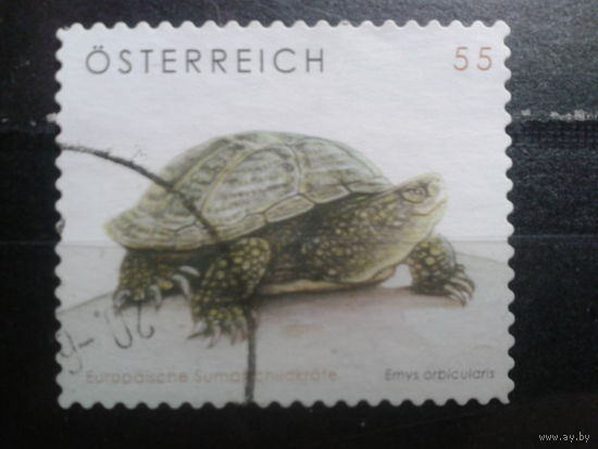 Австрия 2006 Стандарт, черепаха. Одиночка Михель-1,5 евро гаш