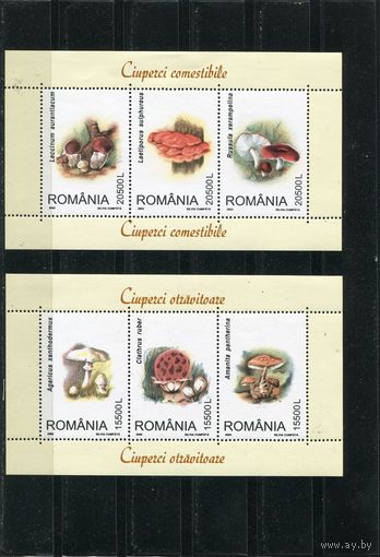 Румыния. Грибы. Вып.2003