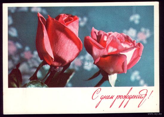 1974 год В.Машков С днём рождения