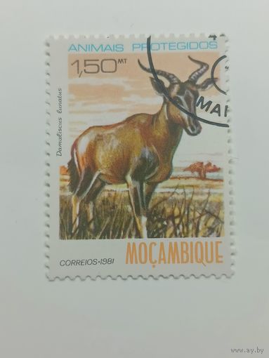 Мозамбик 1981. Охраняемые животные