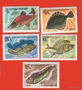 Марки СССР 1983 год.  Промысловые рыбы. 5414-5418. Полная серия из 5 марок.