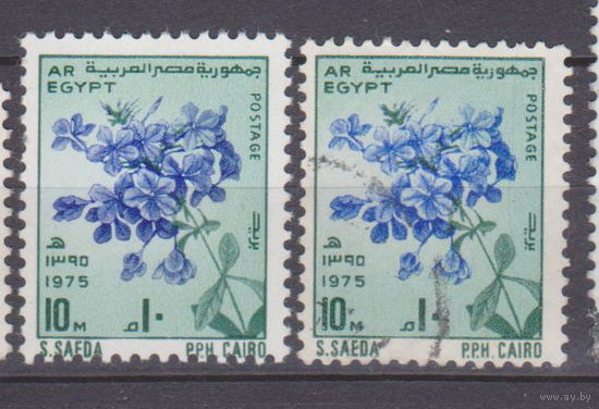 Цветы травы флора Плюмбаго ушастый Египет 1975 год лот 50  ЧИСТАЯ и гашеная  около 30 % от каталога МОЖНО РАЗДЕЛЬНО РАЗНЫЕ ОТТЕНКИ
