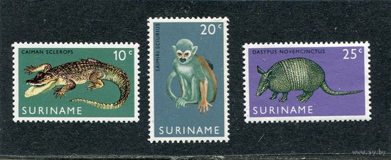 Суринам. Зоопарк Парамарибо