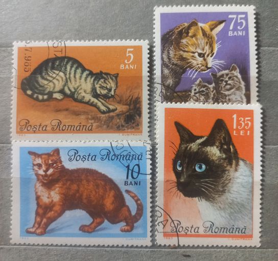 Румыния. 1965г. Фауна. Коты.
