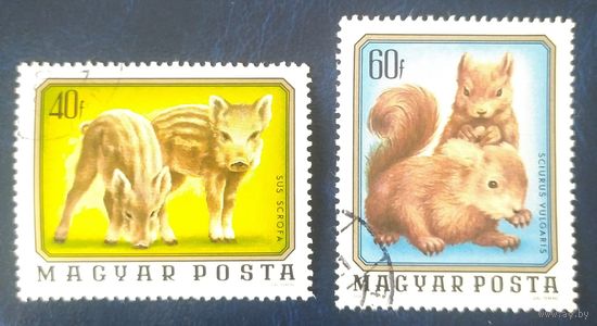 Венгрия 1976 животные 2 из 7