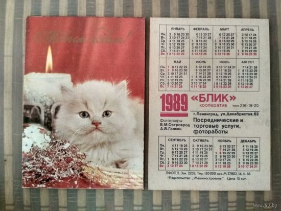Карманный календарик. Котик. 1989 год