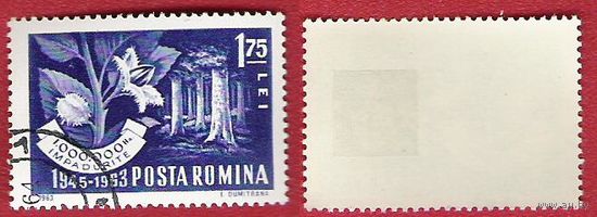 Румыния 1963 Программа восстановления леса