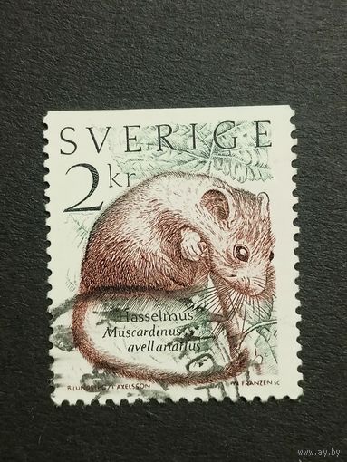 Швеция 1985. Живая природа