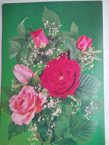 Открытка ,,цветы,, дергилева ,1987 г. чистая