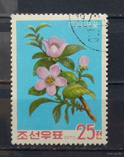 КНДР.1975.Цветы фруктовых деревьев (1 марка)