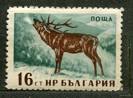 Дикие животные. Олень. Болгария. 1958