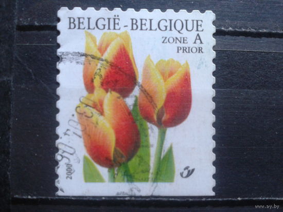 Бельгия 2000 Тюльпаны, марка из буклета