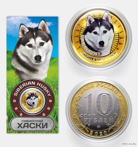 Коллекционная монета Сибирский хаски