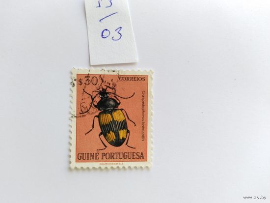 Гвинея 1953  жук