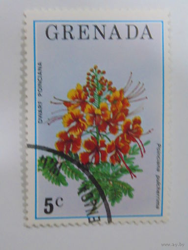 Гренада. Цветы.