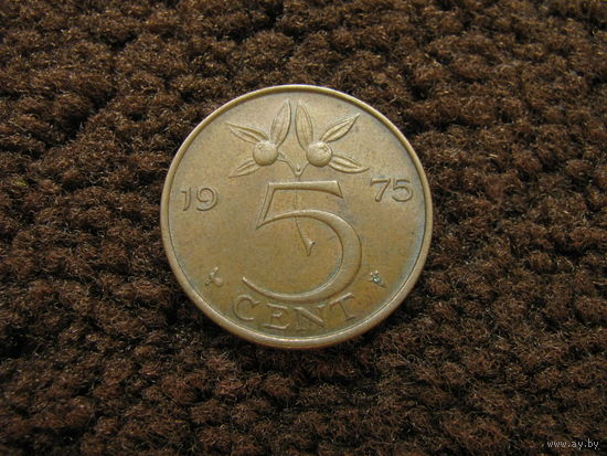 Нидерланды 5 центов 1975 (1)