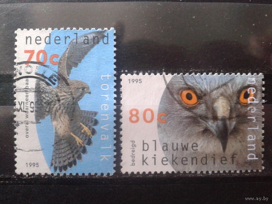 Нидерланды 1995 Хищные птицы