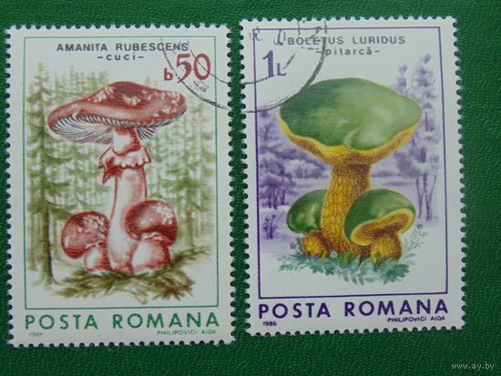 Румыния 1986г. Грибы.