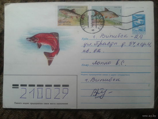 1998 хмк рыбы прошло почту