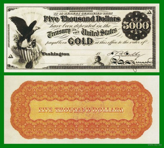 [КОПИЯ] США 5000 долларов 1863 г. Золотой сертификат.
