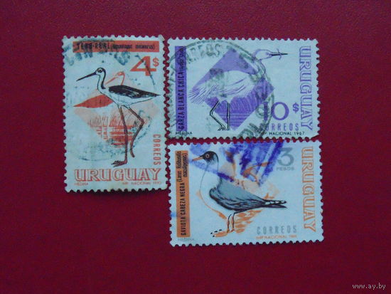 Уругвай. Птицы 1967,1968,1970г.