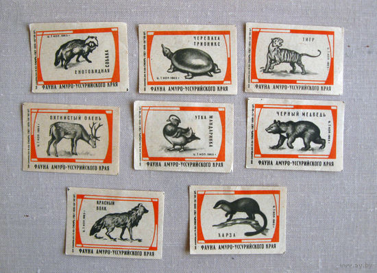 Спичечные этикетки Фауна Амуро-Уссурийского края 8 штук Западно-Сибирский СНХ 1963