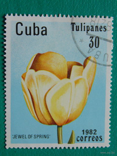 Куба 1982г. Флора.