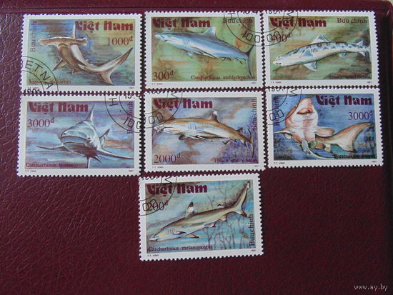Вьетнам 1991 г. Морская фауна.