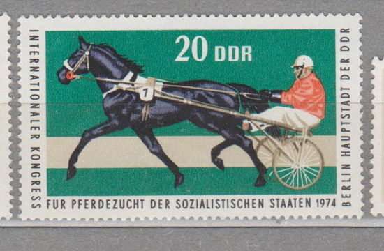 Лошади всадники фауна Спорт ГДР Германия 1974 год лот 1024 ЧИСТАЯ