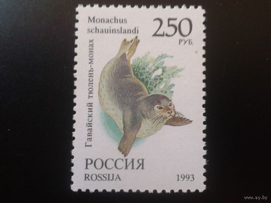 Россия 1993 тюлень