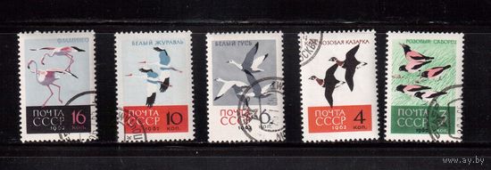 СССР-1962, (Заг.2703-2707)  гаш.(с клеем) , Фауна, Птицы(2)