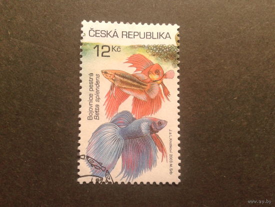 Чехия 2003 аквариумные рыбы  марка из блока