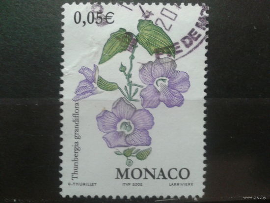 Монако 2002 цветы