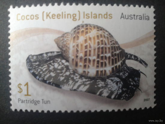 Австралия Кокосовые о-ва 2007 моллюск