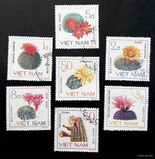 Вьетнам 1985 г. Цветущие кактусы. Флора, полная серия из 7 марок #0071-Ф2P12