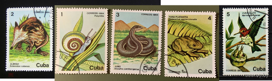 Куба 1984 г. Тропическая фауна.