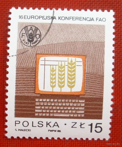 Польша. 16-я Европейская конференция ФАО в Кракове. ( 1 марка ) 1988 года. 3-7.