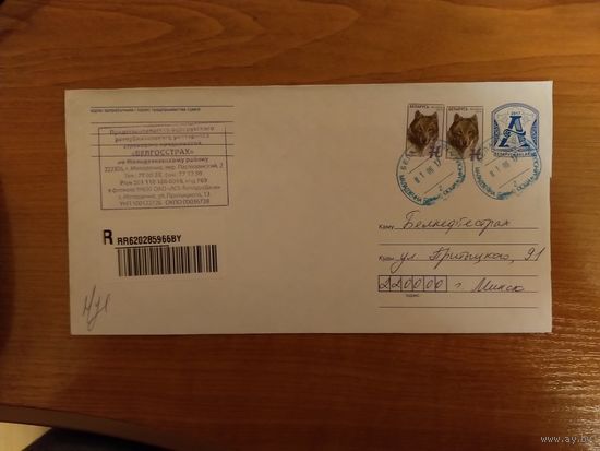 Распродажа коллекции Беларусь конверт деформированный штемпель Молодечно буква "Н" редко встречается на конвертах малого формата  фауна
