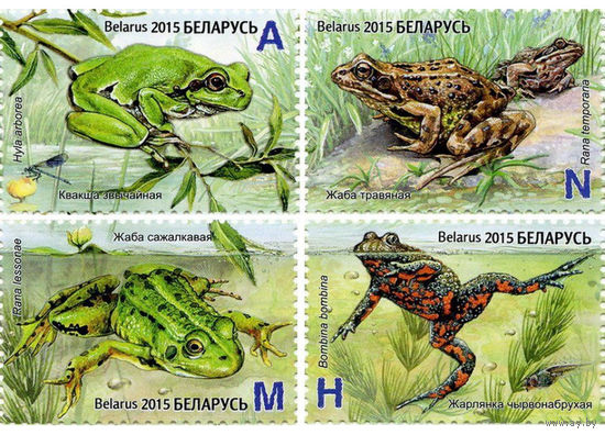 Беларусь 2015  Лягушки